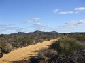 DSCF2518 (Medium).JPG